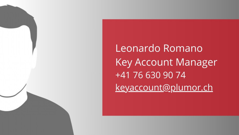 Leonardo Romano, Plumor AG